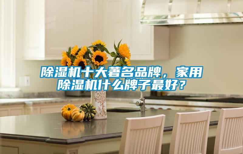 除濕機(jī)十大著名品牌，家用除濕機(jī)什么牌子最好？