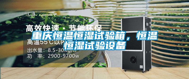 重慶恒溫恒濕試驗箱，恒溫恒濕試驗設(shè)備