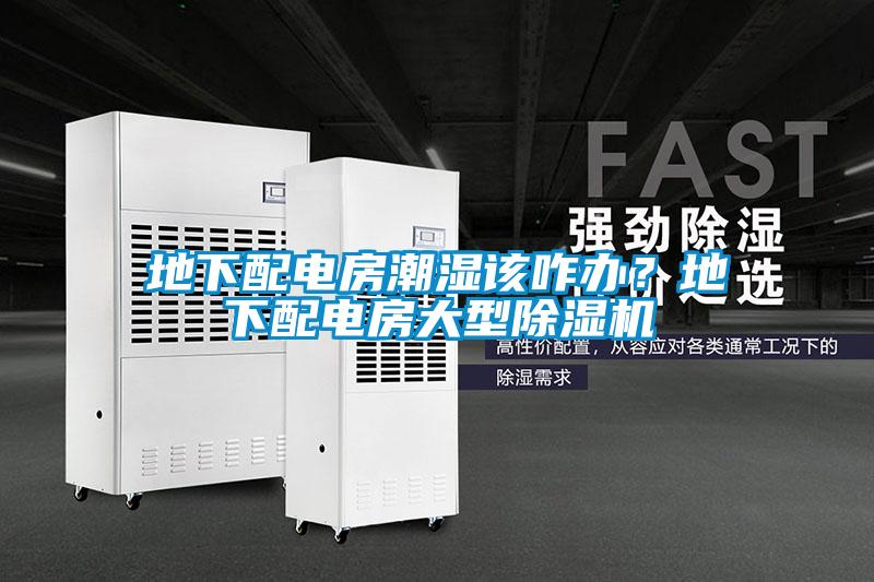 地下配電房潮濕該咋辦？地下配電房大型除濕機(jī)
