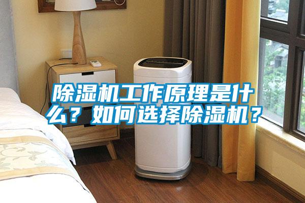除濕機工作原理是什么？如何選擇除濕機？