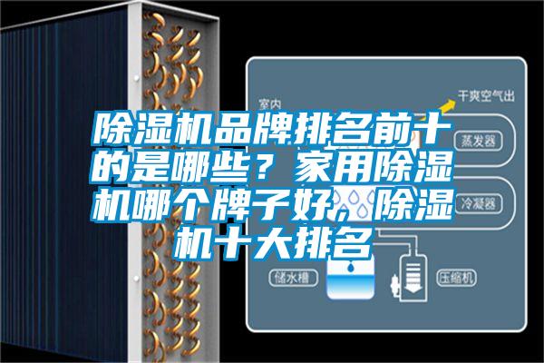 除濕機品牌排名前十的是哪些？家用除濕機哪個牌子好，除濕機十大排名