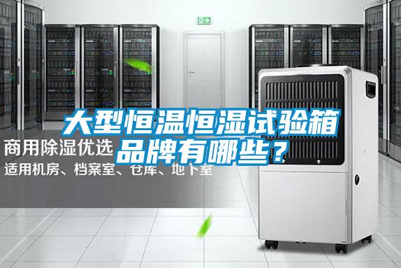 大型恒溫恒濕試驗(yàn)箱品牌有哪些？