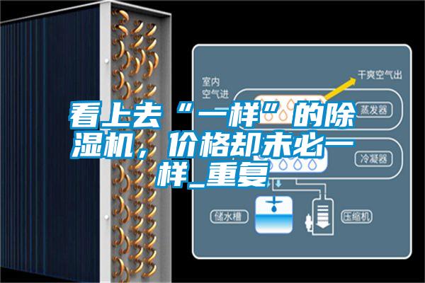 看上去“一樣”的除濕機(jī)，價(jià)格卻未必一樣_重復(fù)