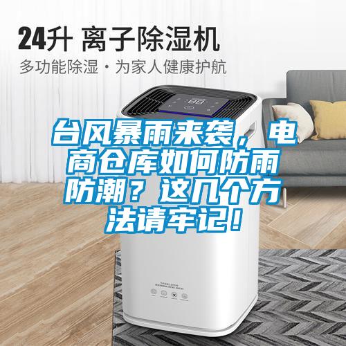 臺風(fēng)暴雨來襲，電商倉庫如何防雨防潮？這幾個方法請牢記！