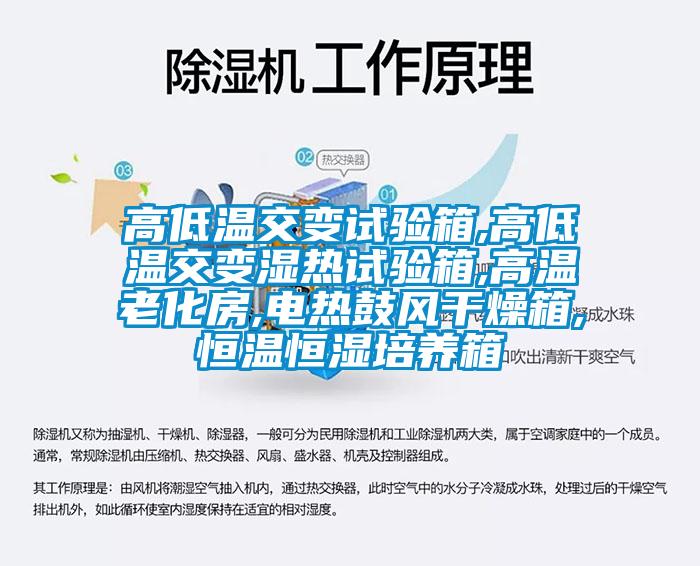高低溫交變試驗箱,高低溫交變濕熱試驗箱,高溫老化房,電熱鼓風干燥箱,恒溫恒濕培養(yǎng)箱