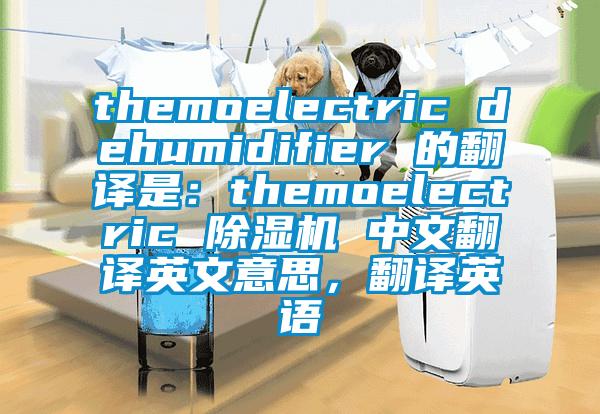 themoelectric dehumidifier 的翻譯是：themoelectric 除濕機 中文翻譯英文意思，翻譯英語