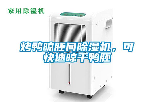 烤鴨晾胚間除濕機，可快速晾干鴨胚