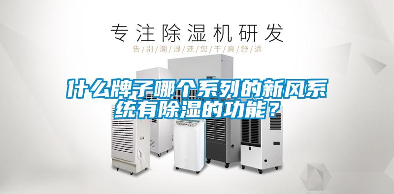 什么牌子哪個系列的新風系統(tǒng)有除濕的功能？
