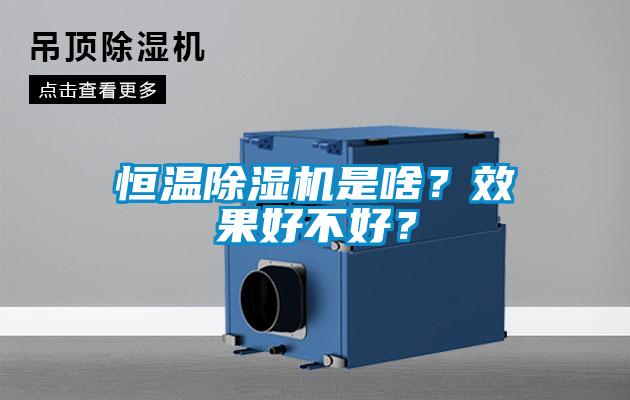 恒溫除濕機(jī)是啥？效果好不好？