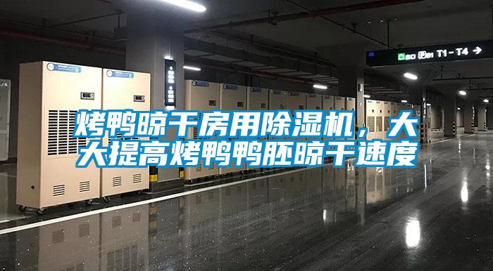 烤鴨晾干房用除濕機，大大提高烤鴨鴨胚晾干速度