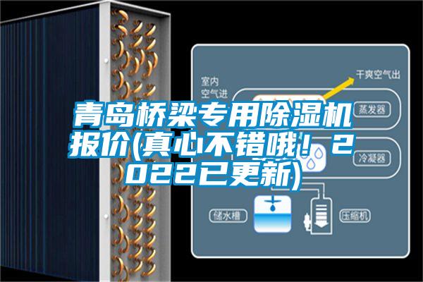 青島橋梁專用除濕機(jī)報(bào)價(jià)(真心不錯(cuò)哦！2022已更新)