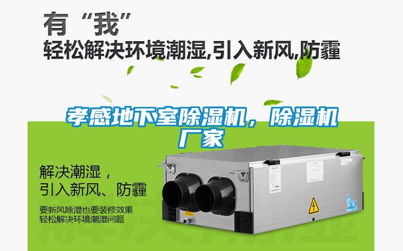 孝感地下室除濕機(jī)，除濕機(jī)廠家