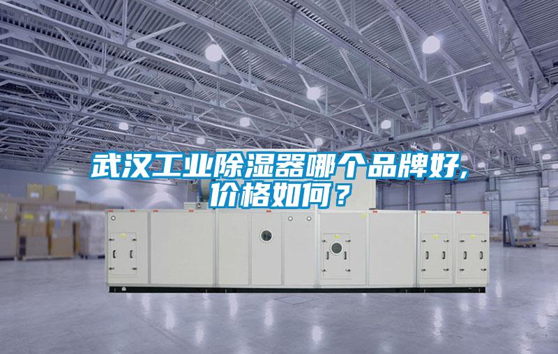 武漢工業(yè)除濕器哪個品牌好,價格如何？