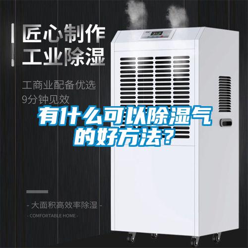 有什么可以除濕氣的好方法？