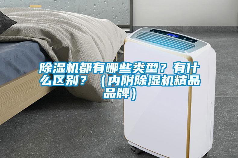 除濕機都有哪些類型？有什么區(qū)別？（內(nèi)附除濕機精品品牌）
