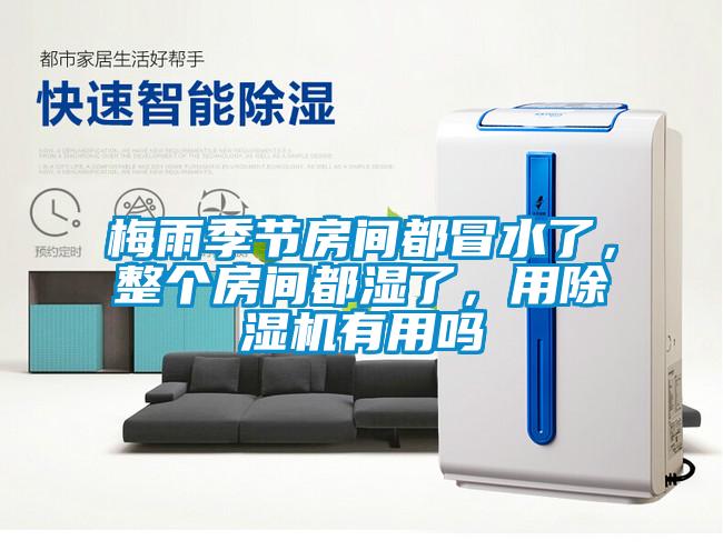 梅雨季節(jié)房間都冒水了，整個房間都濕了，用除濕機有用嗎