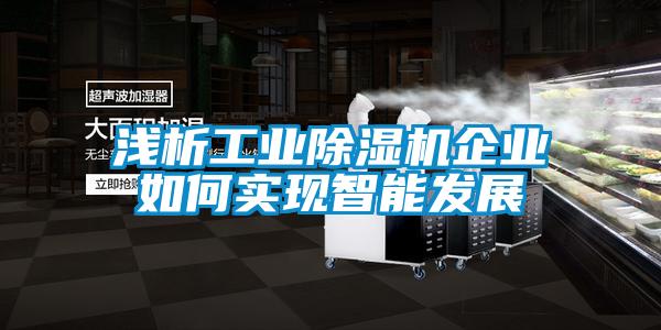 淺析工業(yè)除濕機企業(yè)如何實現智能發(fā)展