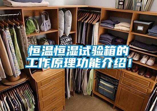 恒溫恒濕試驗(yàn)箱的工作原理功能介紹！