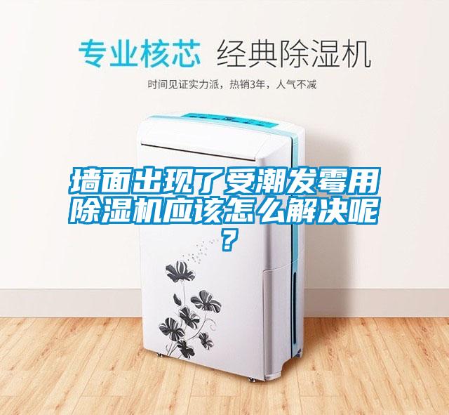 墻面出現(xiàn)了受潮發(fā)霉用除濕機(jī)應(yīng)該怎么解決呢？