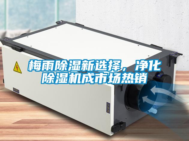 梅雨除濕新選擇，凈化除濕機(jī)成市場(chǎng)熱銷(xiāo)