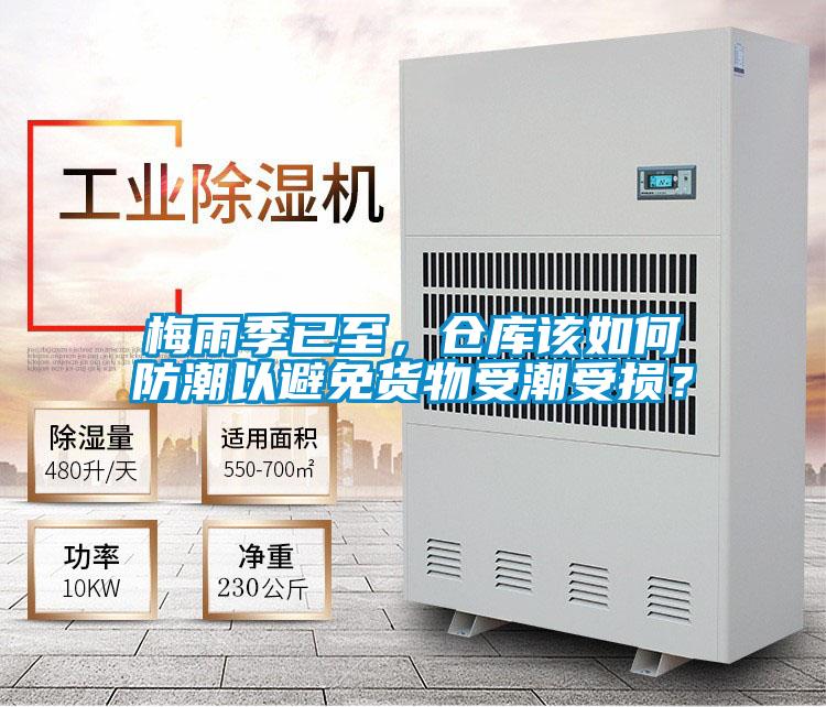 梅雨季已至，倉(cāng)庫(kù)該如何防潮以避免貨物受潮受損？