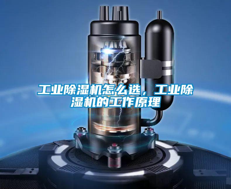 工業(yè)除濕機怎么選，工業(yè)除濕機的工作原理