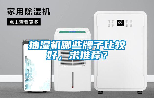 抽濕機(jī)哪些牌子比較好，求推薦？