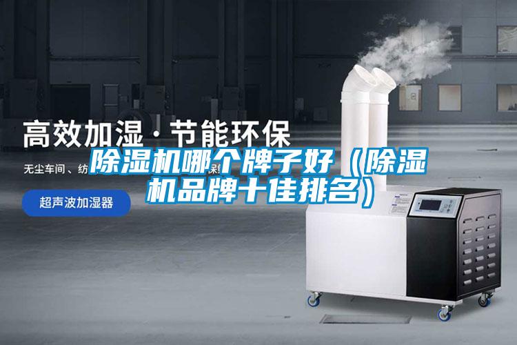 除濕機(jī)哪個牌子好（除濕機(jī)品牌十佳排名）