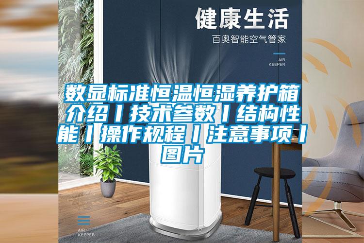 數(shù)顯標準恒溫恒濕養(yǎng)護箱介紹丨技術參數(shù)丨結構性能丨操作規(guī)程丨注意事項丨圖片