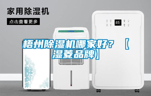 梧州除濕機(jī)哪家好？【濕菱品牌】