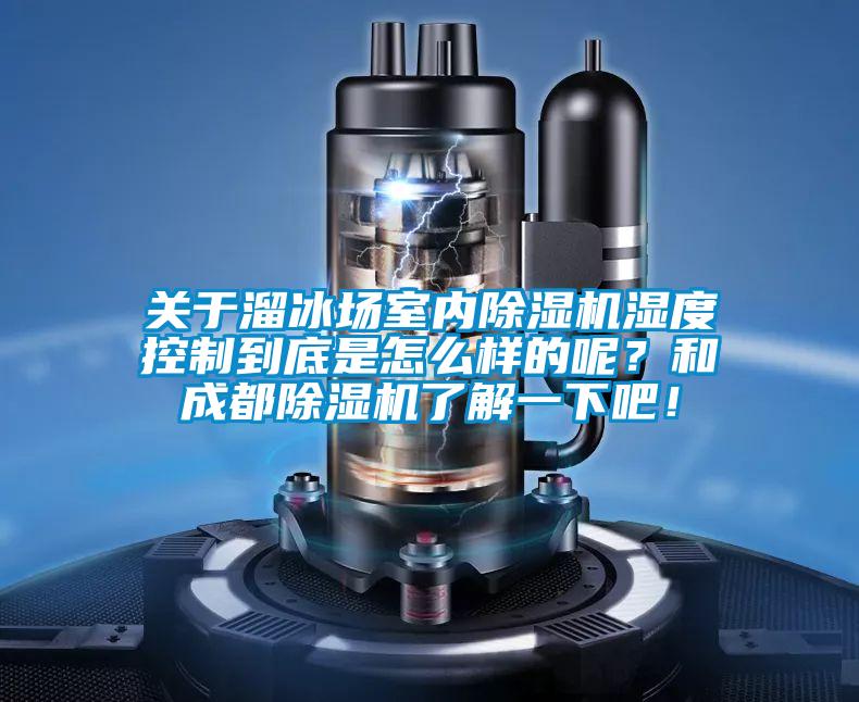 關(guān)于溜冰場(chǎng)室內(nèi)除濕機(jī)濕度控制到底是怎么樣的呢？和成都除濕機(jī)了解一下吧！