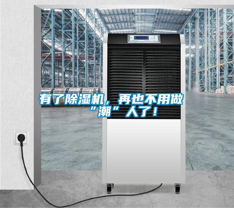 有了除濕機，再也不用做“潮”人了！