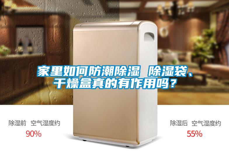 家里如何防潮除濕 除濕袋、干燥盒真的有作用嗎？