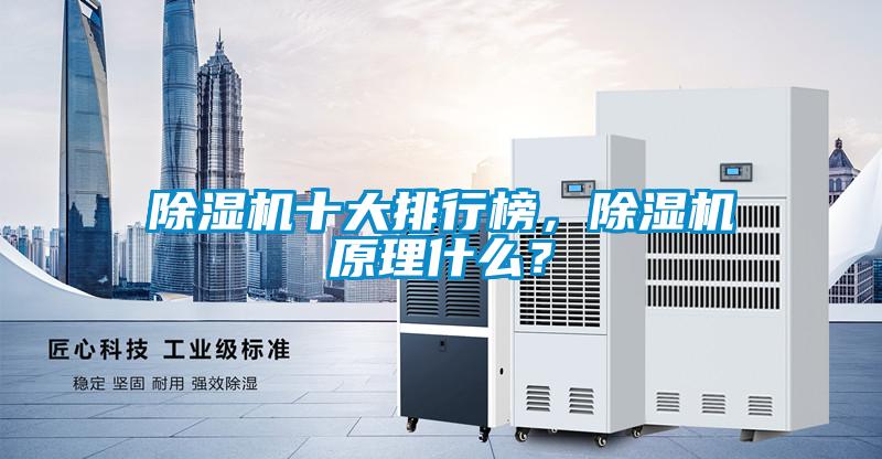 除濕機(jī)十大排行榜，除濕機(jī)原理什么？