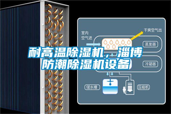 耐高溫除濕機，淄博防潮除濕機設(shè)備