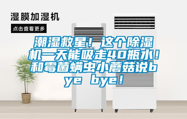 潮濕救星！這個除濕機(jī)一天能吸走40瓶水！和霉菌螨蟲小蘑菇說bye bye！
