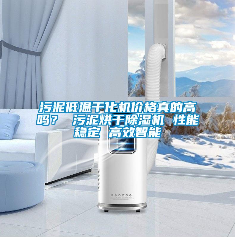 污泥低溫干化機(jī)價(jià)格真的高嗎？ 污泥烘干除濕機(jī) 性能穩(wěn)定 高效智能