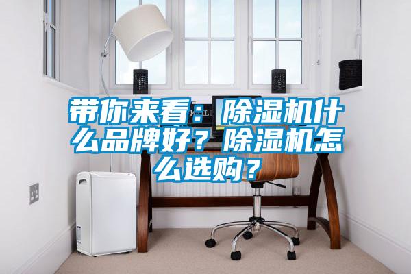 帶你來(lái)看：除濕機(jī)什么品牌好？除濕機(jī)怎么選購(gòu)？