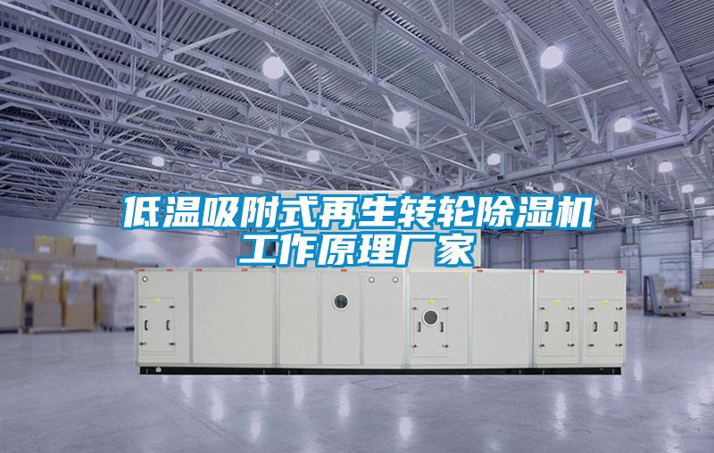 低溫吸附式再生轉(zhuǎn)輪除濕機(jī)工作原理廠(chǎng)家