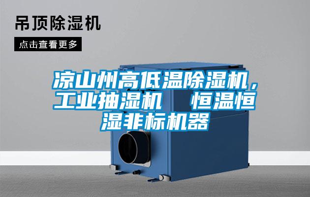 涼山州高低溫除濕機(jī)，工業(yè)抽濕機(jī)  恒溫恒濕非標(biāo)機(jī)器