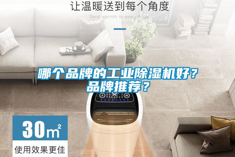 哪個(gè)品牌的工業(yè)除濕機(jī)好？品牌推薦？