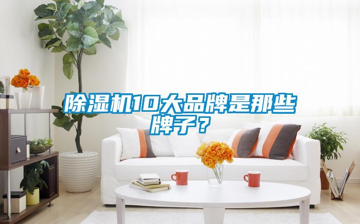 除濕機(jī)10大品牌是那些牌子？