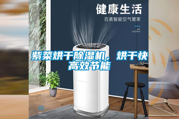 紫菜烘干除濕機，烘干快高效節(jié)能