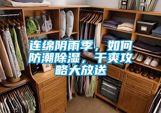 連綿陰雨季，如何防潮除濕，干爽攻略大放送