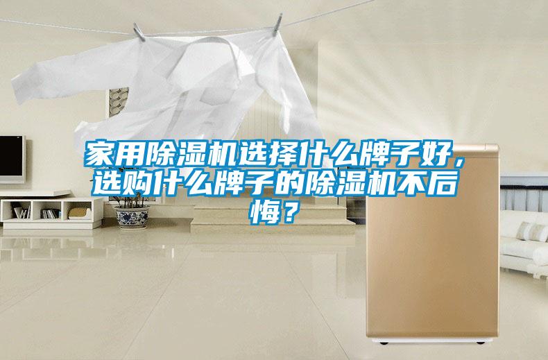 家用除濕機選擇什么牌子好，選購什么牌子的除濕機不后悔？