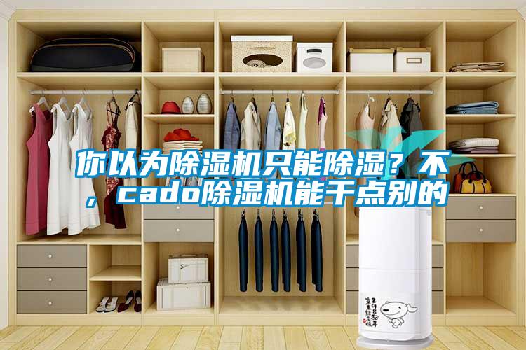 你以為除濕機(jī)只能除濕？不，cado除濕機(jī)能干點別的