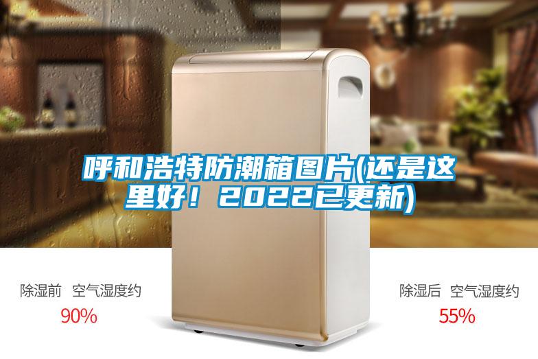 呼和浩特防潮箱圖片(還是這里好！2022已更新)