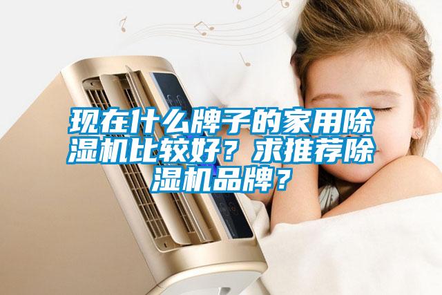 現(xiàn)在什么牌子的家用除濕機比較好？求推薦除濕機品牌？