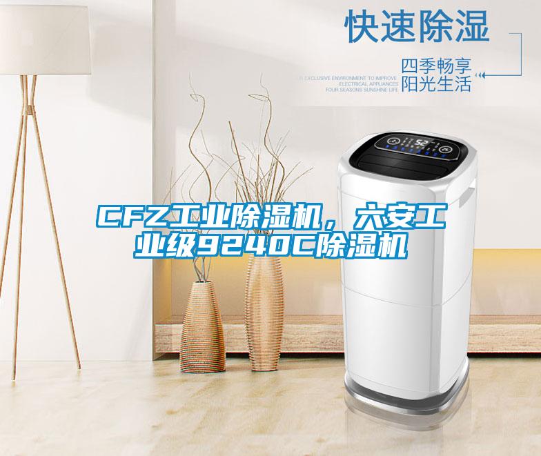 CFZ工業(yè)除濕機，六安工業(yè)級9240C除濕機
