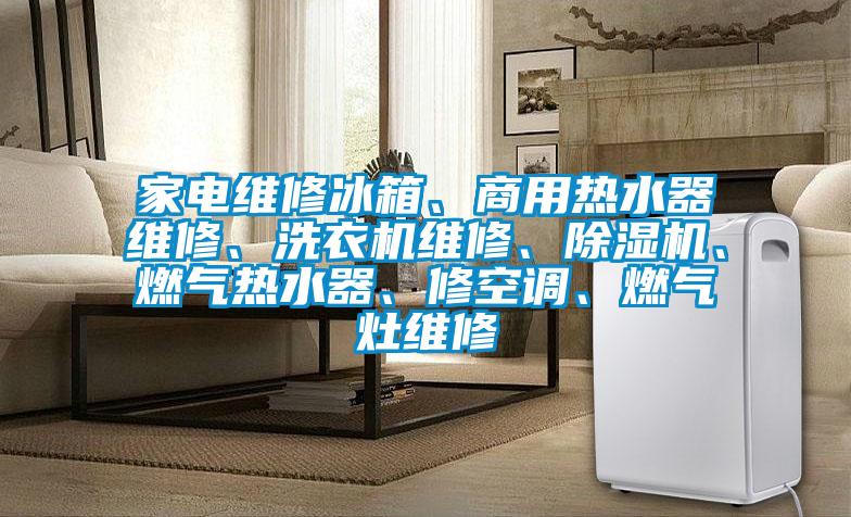 家電維修冰箱、商用熱水器維修、洗衣機(jī)維修、除濕機(jī)、燃?xì)鉄崴鳌⑿蘅照{(diào)、燃?xì)庠罹S修